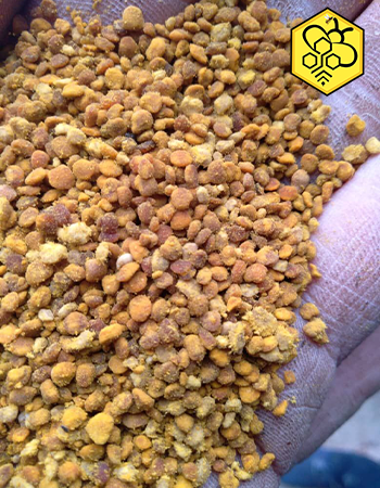 خرید گرده گل دشت