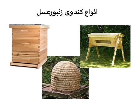 قیمت کندو خالی
