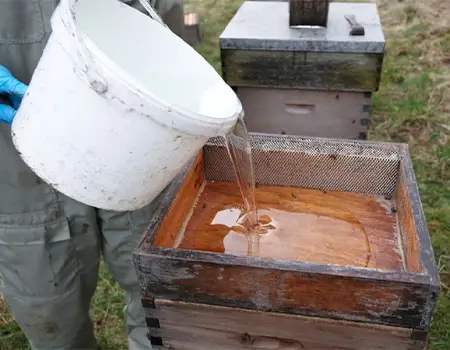 خرید پروموتور ال