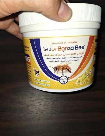 فروش بن زا بی