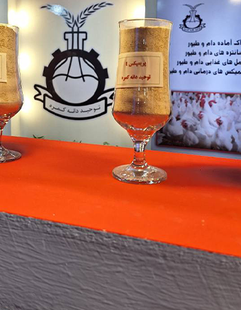 خرید دان مرغ