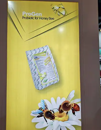 مکمل معدنی برای مرغ