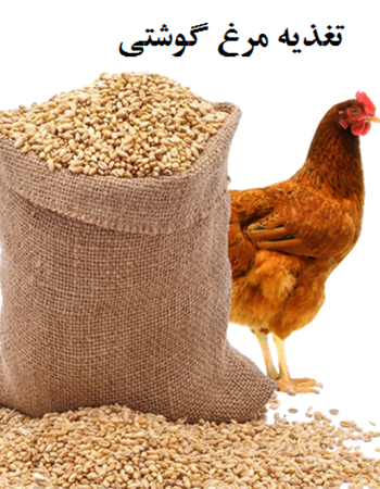 تقویتی طیور
