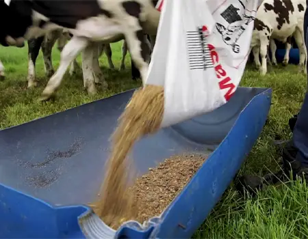 تقویتی تزریقی برای دام