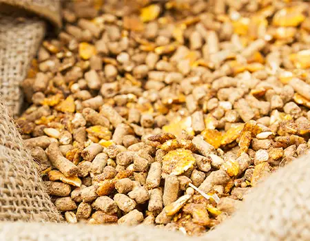 تفاله ی چغندر