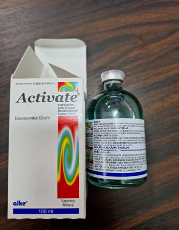 تقویتی دامی