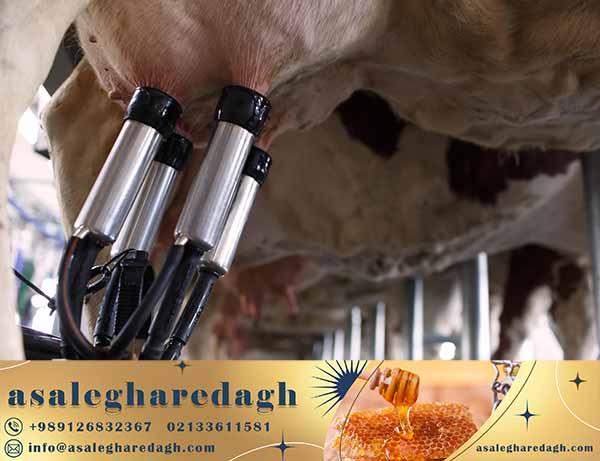 ادوات دامداری عمده