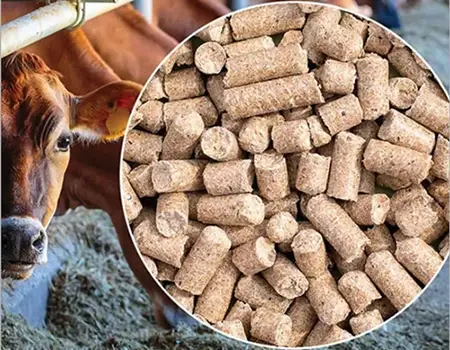 کنسانتره دامی درجه یک