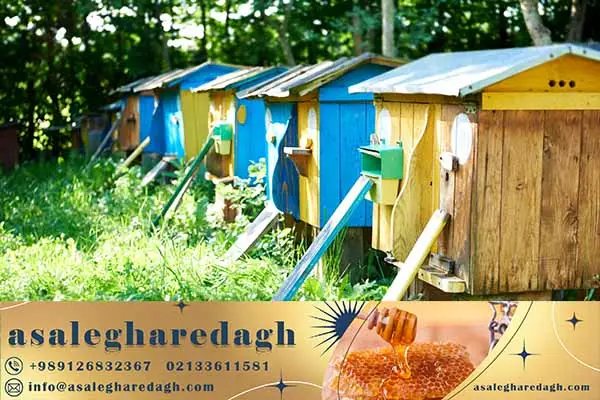 جنتر باکس زنبورداری