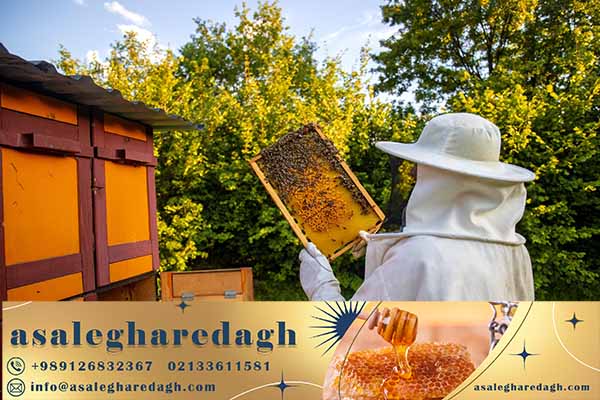 خرید اسپری اسید فرمیک