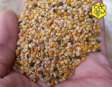 گرده گل