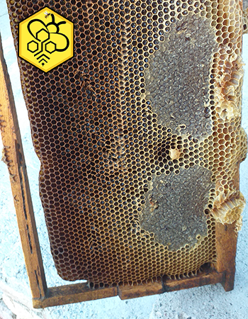 موم طبیعی کیلویی