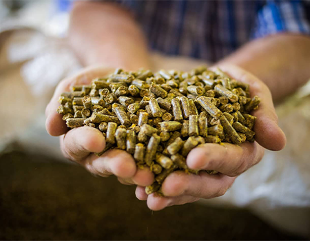 خوراک دام فله