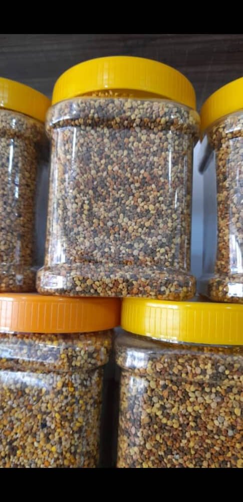 قیمت گرده گیر