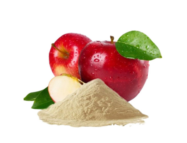 apple-extract-powder