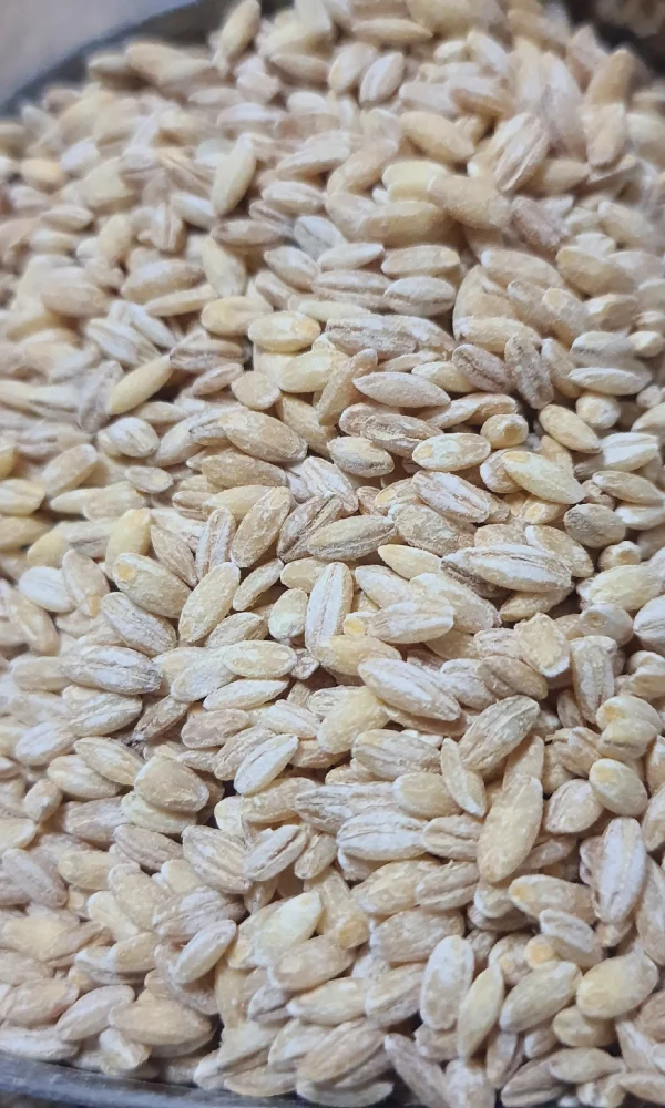 جو پوست کنده