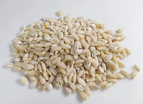 جو پوست کنده