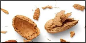 پوست بادام درختی