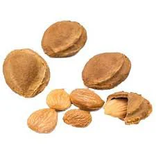 هسته زردآلو